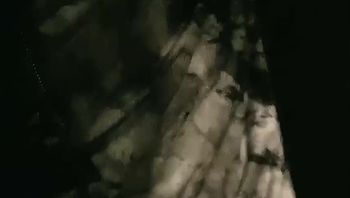 【高颜值女神】极品学校女神学姐夜晚车震，深喉口交女上位抱着屁股骑乘！ - 私房ACG - sifacg.com