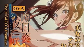 向日葵在夜晚绽放 - 私房ACG - sifacg.com