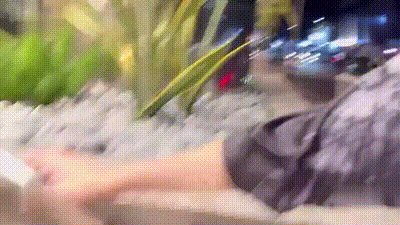 DT-010 小象探险队-意外约到恋爱砲小只马不干坏对不起这次旅行 动图预览 - 私房ACG - sifangacg.com