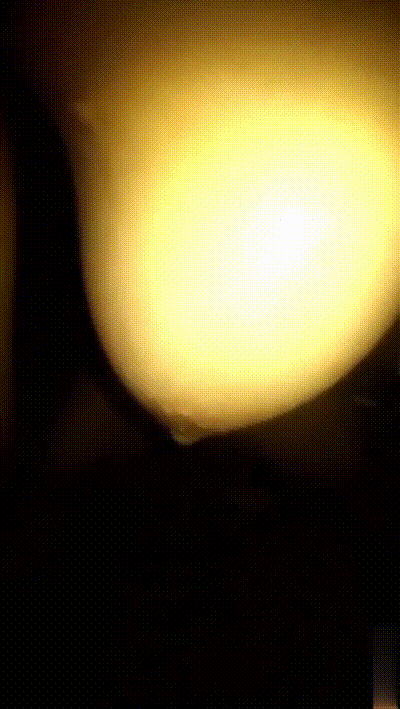 【18个极品反差婊合集】呆萌萝莉～青涩学生～夜店女神～小学教师～各种母狗汇总 动图预览 - 私房ACG - sifacg.com