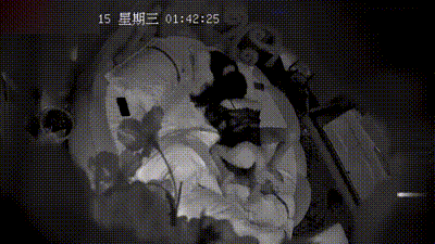 [稀缺资源-罕见高颜值女同做爱]互相舔逼舌吻，换着高潮好刺激 动图预览 - 私房ACG - sifacg.com