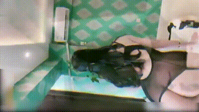 [抖音主播]刘小姐的CHANEL 为某App举办定制 抖音风裸舞2 动图预览 - 私房ACG - sifacg.com