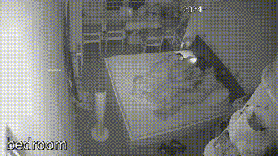 【偷情实录】奸夫是个女的？女同到年纪找个男人结婚生子？背地里还是同性恋？孩子在旁边睡觉就按耐不住了骚动的心了！ 动图预览 - 私房ACG - sifacg.com