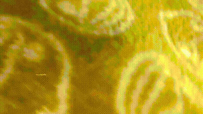 少妇全程高能叫床对白很劲爆_露脸才是王道对白淫荡纹身男与出轨人妻少妇偸情真实自拍 动图预览 - 私房ACG - sifacg.com