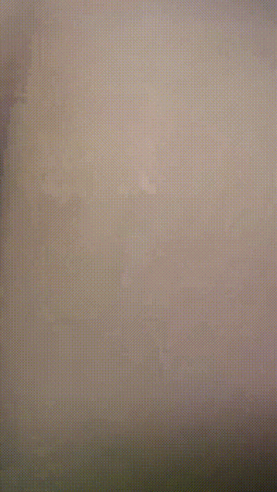 小情侣在家日常爱爱吃鸡黑丝跳蛋花样还挺多貌似天天操年纪轻轻逼逼有点黑露脸是真爱 动图预览 - 私房ACG - sifacg.com