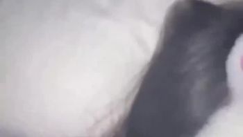 嫩妹被操的嗷嗷乱叫 - 私房ACG - sifacg.com