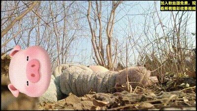 舅侄乱伦】50岁的禽兽舅舅瞒着外公哄骗侄女到户外乱伦打野，清纯少女被老男人破了处#家庭乱伦#后入#野战 动图预览 - 私房ACG - sifacg.com