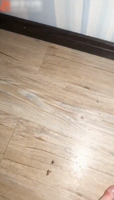 网爆门-重庆渣女骚货学生张佳慧背着男友私下约炮玩群P，炮友多不胜数 动图预览 - 私房ACG - sifacg.com