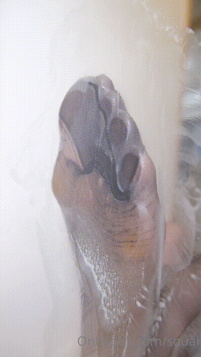 极品长腿黑丝【souai】 动图预览 - 私房ACG - sifacg.com