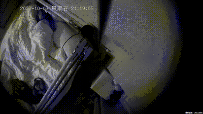 偷拍梳着小辫子的清纯美女和男友情意款款各种缠绵 动图预览 - 私房ACG - sifacg.com