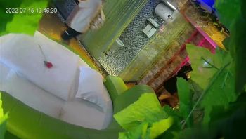 全身如雪的白嫩妹子和眼镜男友开房，眼镜男果然蔫儿坏，最喜欢骑在妹子头上操嘴巴 - 私房ACG - sifacg.com