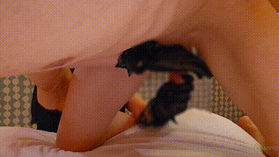 挤奶打手枪束缚S女人用皮肤受伤的龟头打手枪从鸡巴里挤精液日本业余美女无尽荡妇受虐狂男人个人拍摄乌拉污垢女孩【yunapan_channel】 动图预览 - 私房ACG - sifacg.com