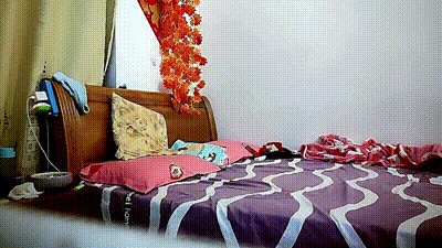 【母子乱伦】河南公务员母子乱伦！不肯结婚因为舍不得妈妈！ 动图预览 - 私房ACG - sifacg.com