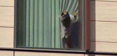 昨晚为了盯陆家嘴亮灯率，硬是数到早晨6点~ 动图预览 - 私房ACG - sifacg.com