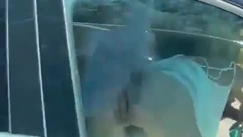 封闭空间里的窒息式激情 - 私房ACG - sifacg.com