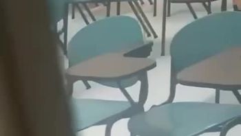 偷拍 香港城市大学 教学楼男女同学掀裙忘我扣下体自嗨事件 - 私房ACG - sifacg.com