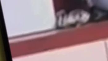 玩出新高度！陕西工业职业技术学院 小情侣看台吃鸡 边扇耳光边深喉 胆子真大！ - 私房ACG - sifacg.com