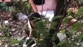 辽宁理工小树林 情侣上演经典时刻 求一双没看过的眼睛 华为Mate60高清偷拍完整版视频流出 - 私房ACG - sifacg.com