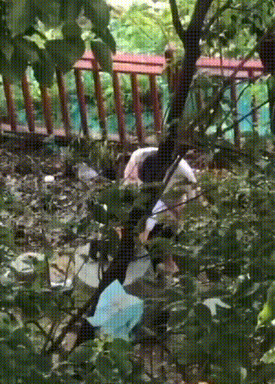 辽宁理工小树林 情侣上演经典时刻 求一双没看过的眼睛 华为Mate60高清偷拍完整版视频流出 动图预览 - 私房ACG - sifacg.com