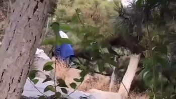 山东枣庄滕一中学 一男一女在学校花园中野战 遭偷拍 - 私房ACG - sifacg.com