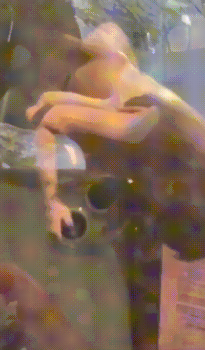 着玻璃偷拍人家车震 会不会被打啊 动图预览 - 私房ACG - sifacg.com