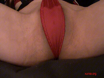 现在寝室没人，好想找个人一起视频啊 动图预览 - 私房ACG - sifacg.com