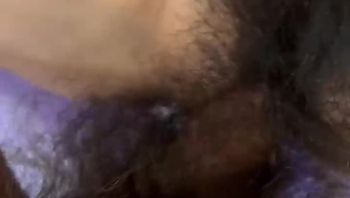 家养小猫咪 - 私房ACG - sifacg.com