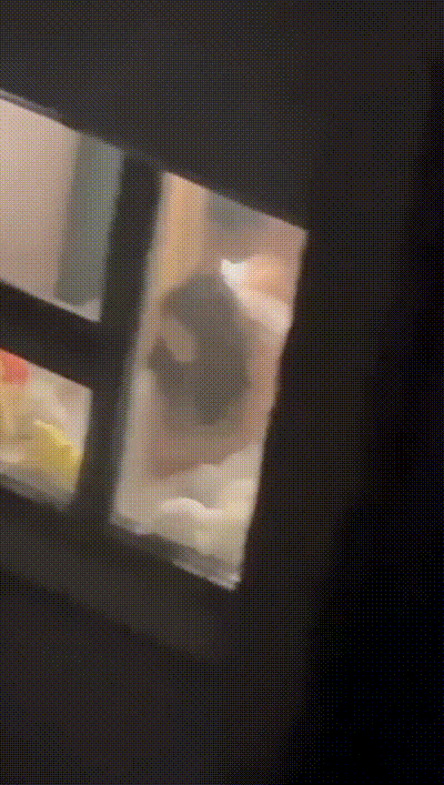 西昌丁家坝 小夫妻七夕在家里面啪啪忘记关窗帘 被有心人偷拍 直播性爱大战 真刺激！ 动图预览 - 私房ACG - sifacg.com