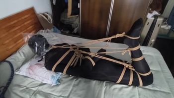 驷马训练，强度适中… - 私房ACG - sifacg.com