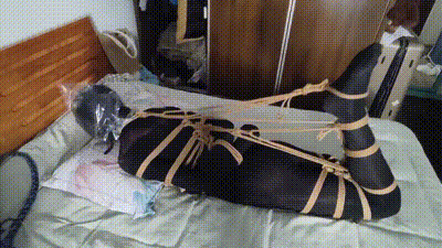 驷马训练，强度适中… 动图预览 - 私房ACG - sifacg.com