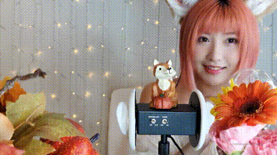 每天都是不一样的装扮~【MissWarmJ】 动图预览 - 私房ACG - sifacg.com