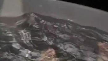 想不想免费坐飞机✈️✈️✈️？哈哈哈哈哈 - 私房ACG - sifacg.com