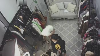 高档服装店更衣间摄像头监控偷拍 颜值富姐真空试穿衣服 奶子真大！ - 私房ACG - sifacg.com