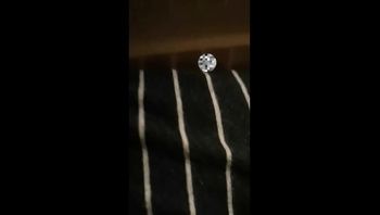 开始是我的女神  后来是我的母狗 - 私房ACG - sifacg.com