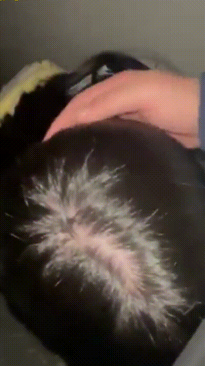 拥有迷人大屁股的母狗女友 动图预览 - 私房ACG - sifacg.com