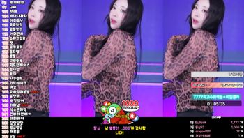 韩国 BJ 女主播身材性感豹纹装秀骚舞 - 私房ACG - sifacg.com