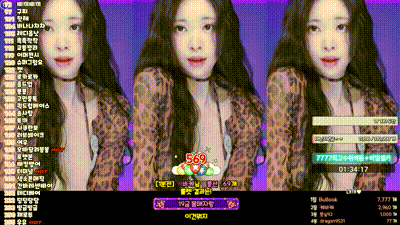 韩国 BJ 女主播身材性感豹纹装秀骚舞 动图预览 - 私房ACG - sifacg.com