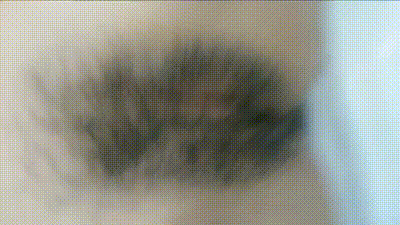 精神小妹还是地雷妹都是烂逼贱货 动图预览 - 私房ACG - sifacg.com