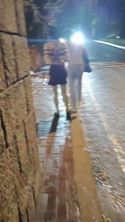 俺的小狗！ 动图预览 - 私房ACG - sifacg.com