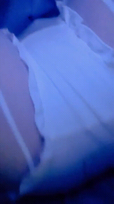 噢忘了还有一张 动图预览 - 私房ACG - sifacg.com