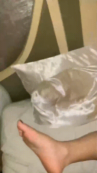 勾引公司98年小伙做自己的干儿子骚货保养的还很不错轻熟的风韵发挥的淋漓尽致 动图预览 - 私房ACG - sifacg.com