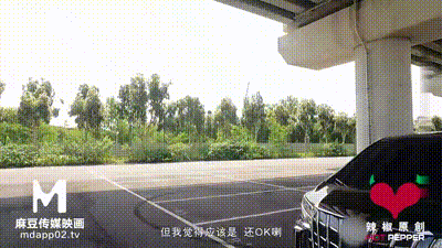 #国产麻豆AV_番外_辣椒原创_阿尔法克_超激初体验访谈访 动图预览 - 私房ACG - sifacg.com