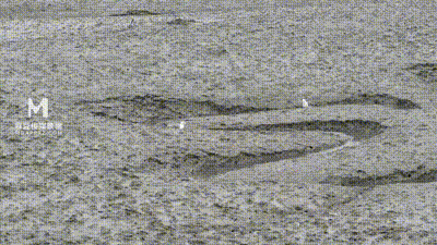 MFK0052 優雅的陷阱 动图预览 - 私房ACG - sifacg.com