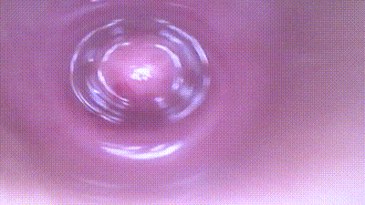 FC2PPV4741734 調教氣質害羞美女 讓她舔肛捆綁雙穴開發 动图预览 - 私房ACG - sifacg.com