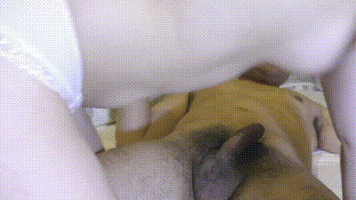 FC2PPV4716424 在酒店裡口爆樣子清純的女高中生 动图预览 - 私房ACG - sifangacg.com