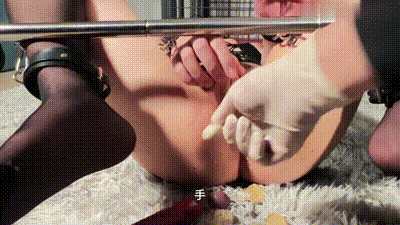 聽話小性奴的練成 动图预览 - 私房ACG - sifacg.com