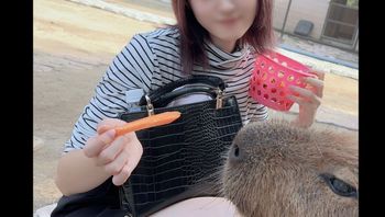 FC2PPV4265371 可愛超萌女大生被帶到森林裡野外露出 大量中出未熟胴體不停抖震 - 私房ACG - sifangacg.com