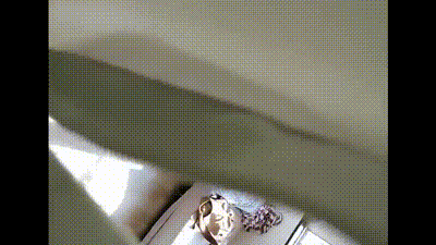 小妹妹偷拍妈妈与后爹及朋友的3P淫乱大戏玩起跳蛋自慰 动图预览 - 私房ACG - sifacg.com