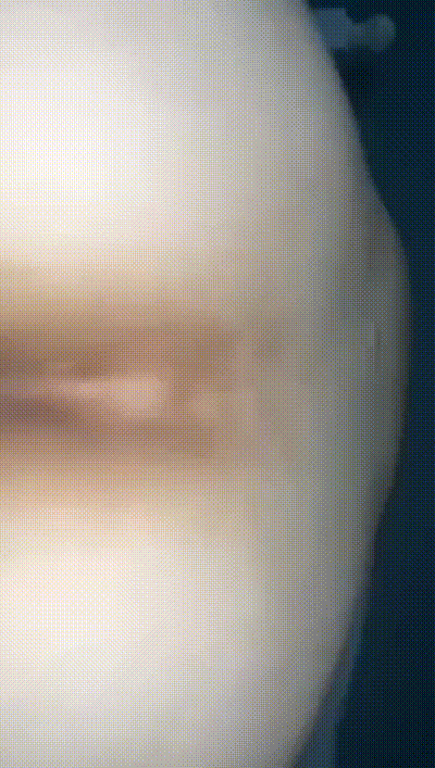 小老弟的妈妈，太强势，小老弟是个妈宝男让我征服他离异的老妈!他妈功力深厚，经常练腿的人，鸡哥甘拜下 动图预览 - 私房ACG - sifacg.com