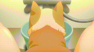 無意間變成狗，被喜歡的女生撿回家。 1 动图预览 - 私房ACG - sifacg.com